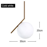 Pendant Lamp Glass Ball Modern