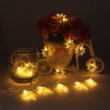 Fairy Lamp 5m 10m 20m 30m 50m