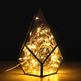 Fairy Lamp 2M 5M 10M Copper Silver Wire